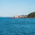 Google Trends Explorer Terbaru dengan Gemini: Cara Baru Menemukan Ide Konten Viral untuk Bisnis Anda