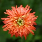 WPP Production: Revolusi Baru dalam Dunia Produksi Konten Pemasaran Global