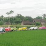 Wisata Borobudur Murah